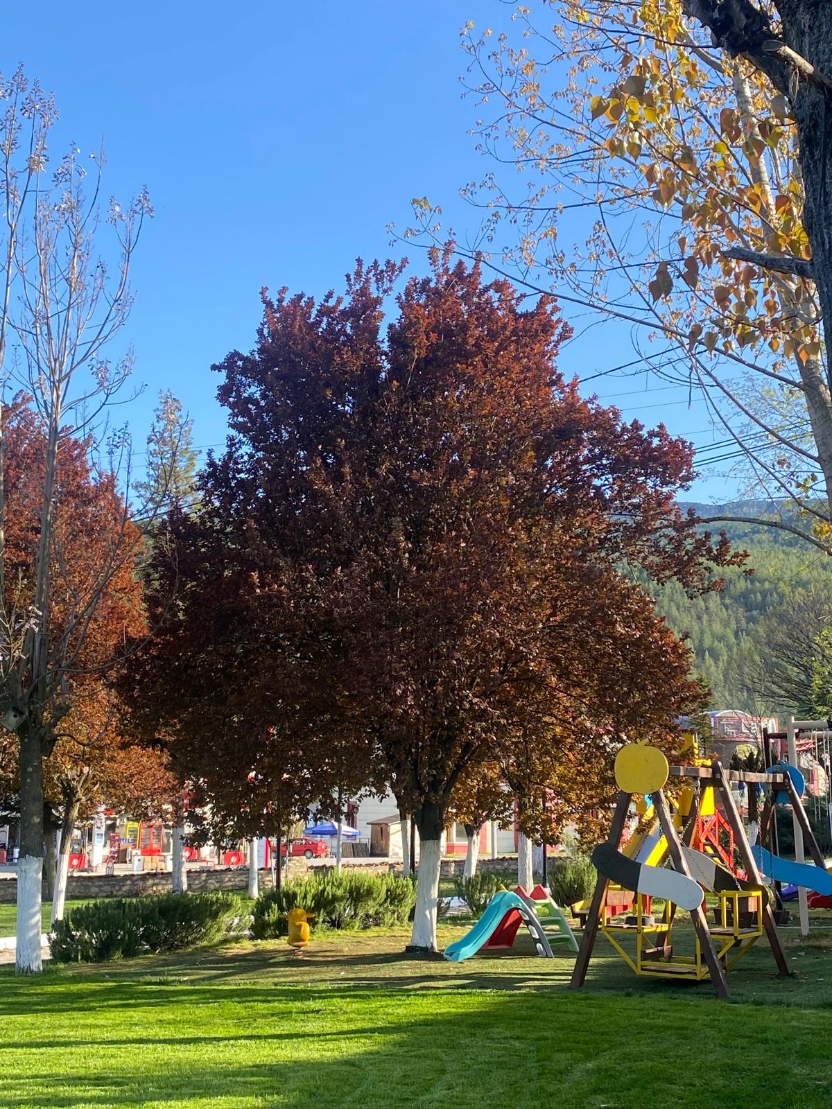 Bahçe ve çocuk oyun alanı